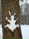 Фотография Букина Александра