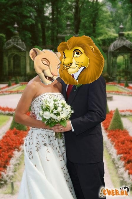 Симба Король фотография #6