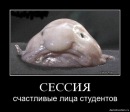 Фотография Захарова Даша
