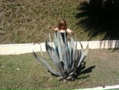 Николай Лещенко фотография #24 (источник - https://vk.com/id248869)