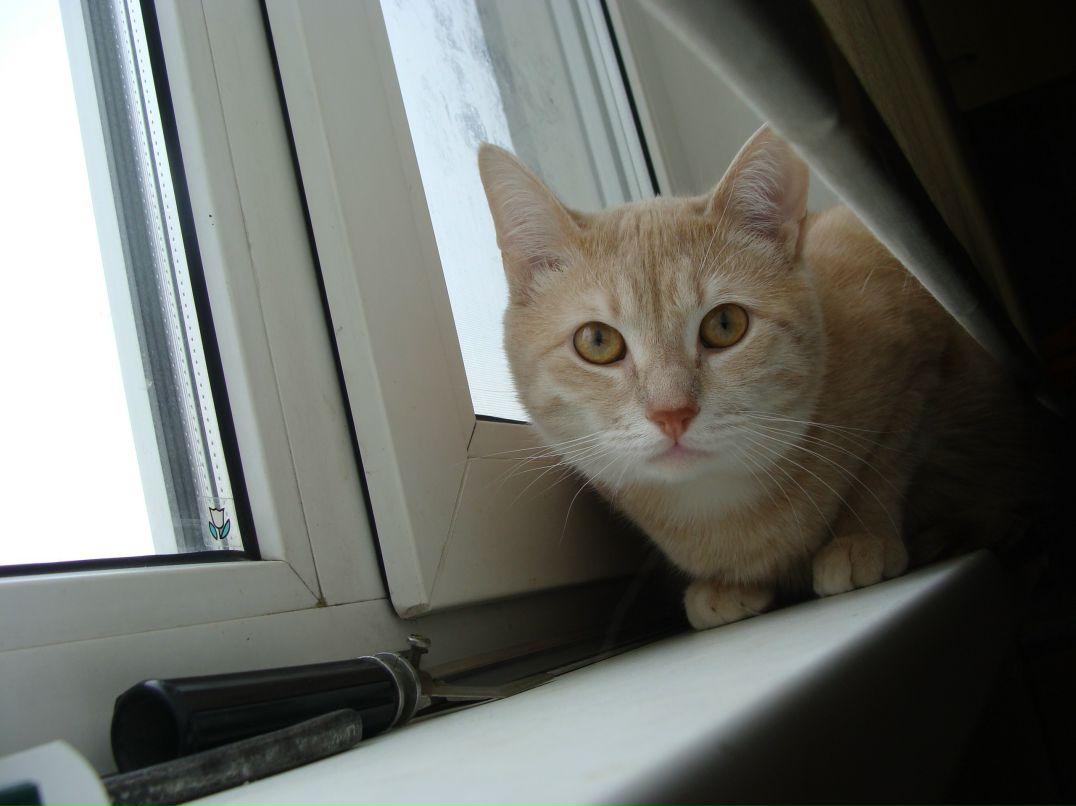 Любовь Ты фотография #26