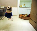 Фотография Альшанова Святослава