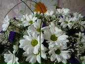 Фотография Леоновой Марии