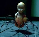 Фотография Лебедевой Софьи