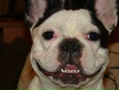 Фотография Снегирёвой Маруси