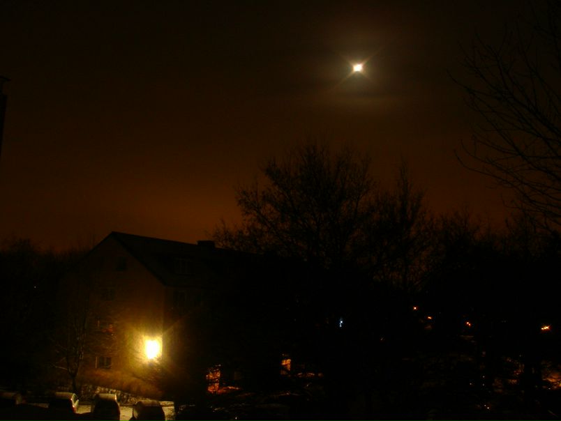 Лев Пак фото №40