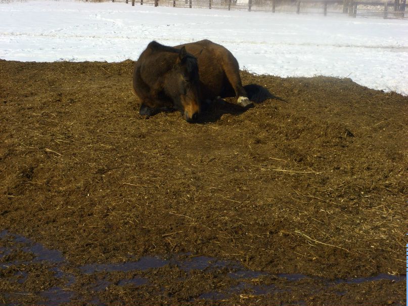 Людмила Плотникова фотография #45