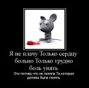 Євгеній Пугач фотография #44 (источник - https://vk.com/id23353007)