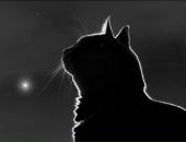 Фотография Алексеевой Татьяны