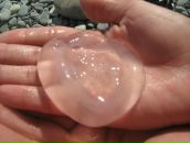 Фотография Неверова Алексея