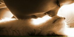 Марія Соколенко фотография #4 (источник - https://vk.com/id23980027)