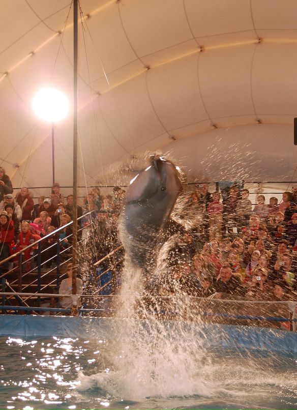 Анастасия Циммерман фотография #32