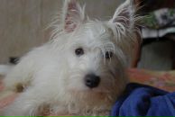 Фотография Натальи Натальи