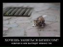 Игорь Темник фотография #19 (источник - https://vk.com/id96615668)