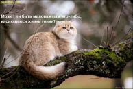 Оля Ільницька фотография #44 (источник - https://vk.com/id65129607)