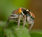 Фотография Гридневой Екатерины