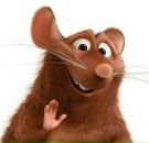 Фотография Сучковой Алены