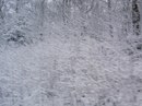Валєра Олексин фотография #10 (источник - https://vk.com/id155939234)