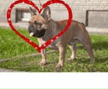 Фотография Масленниковой Натальи