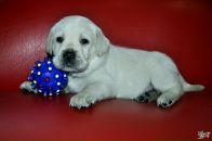 Фотография Никитиной Светы