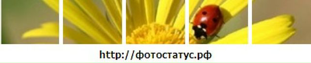 Наталі Павленко фотография #45 (источник - https://vk.com/id63828243)