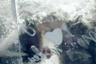 Фотография Гурина Алексея