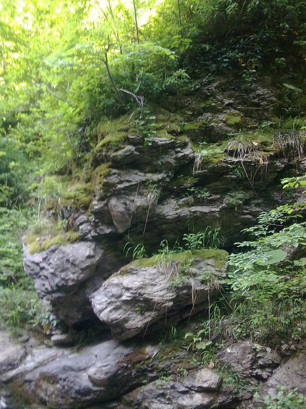 Дмитрий Туркевич фотография #20