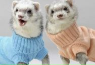 Фотография Ибрагимовой Замиры