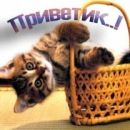 Іринка Педько фотография #3 (источник - https://vk.com/id113235958)