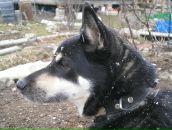 Фотография Удалкиной Ольги