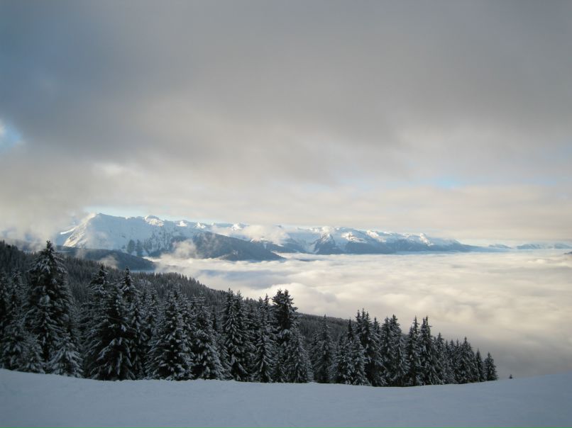 Григорий Поляков фотография #14