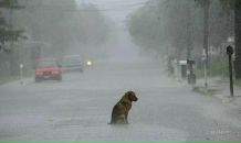 Анна Бундюк фотография #11 (источник - https://vk.com/id3442810)