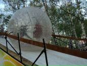 Фотография Луценко Марины