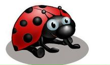 Фотография Юдкиной Катерины