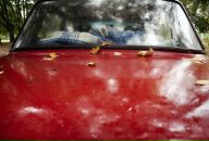 Сергій Тимошенко фотография #41 (источник - https://vk.com/id10349635)