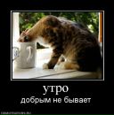 Анатолій Шаповал фотография #39 (источник - https://vk.com/id15036689)