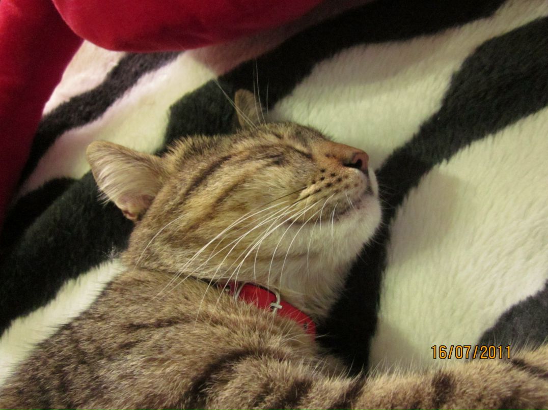 Сергей Сергеевич фотография #32