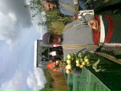 Василь Любоємський фотография #8 (источник - https://vk.com/id124003979)