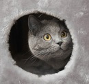 Даша Ларина фотография #23 (источник - https://vk.com/id140570919)
