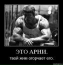 Фотография Вивенцова Анастасия