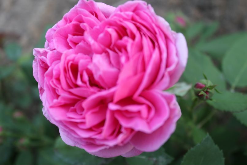 Amina Muratkyzy фотография #1