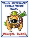 Фотография Елена Раст