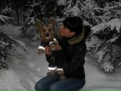 Фотография  