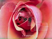 Фотография Иваниловой Екатерины