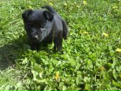 Фотография Вяткиной Анастасии