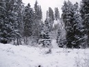 Марія Мельник фотография #32 (источник - https://vk.com/id135547975)