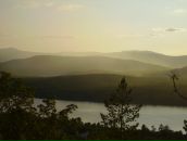 Фотография Вудмаски Оли