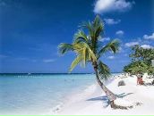 Фотография Affrikan Александра