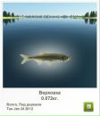 Євген Ковальчук фотография #41 (источник - https://vk.com/id151466630)