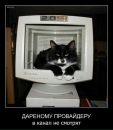 Ірина Редько фотография #37 (источник - https://vk.com/id55667456)